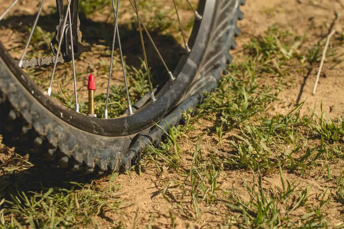 flat mountain bike tire